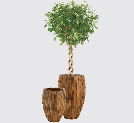 Classic Woody Pot Green Souq