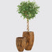 Classic Woody Pot Green Souq