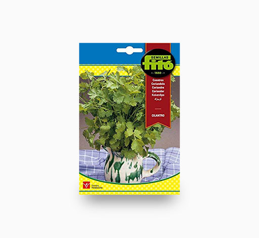 Coriander Seeds 20g – Fito