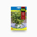 Coriander Seeds 20g – Fito