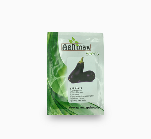 Egg Plant Barsha F1 Premium Quality Seeds