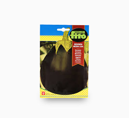 Eggplant Redonda Negra Lisa 4g