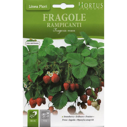 Strawberry "Fragole Rampicanti" Seeds by Hortus Green Souq