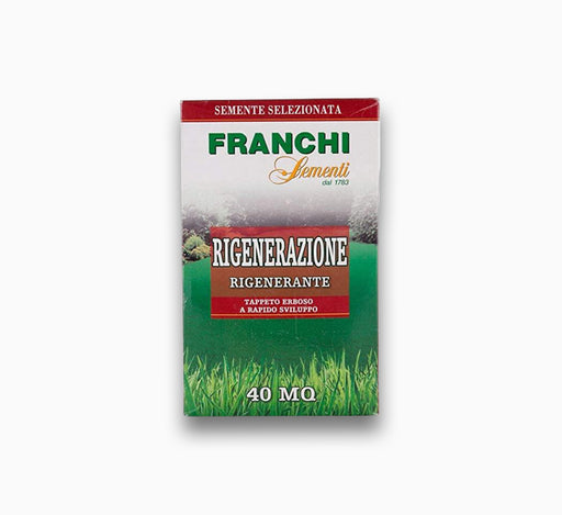 Grass Seeds by FRANCHI RIGENERAZIONE