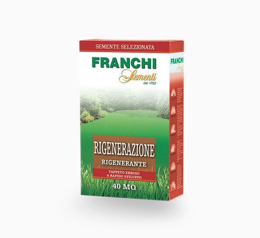 Grass Seeds by FRANCHI RIGENERAZIONE