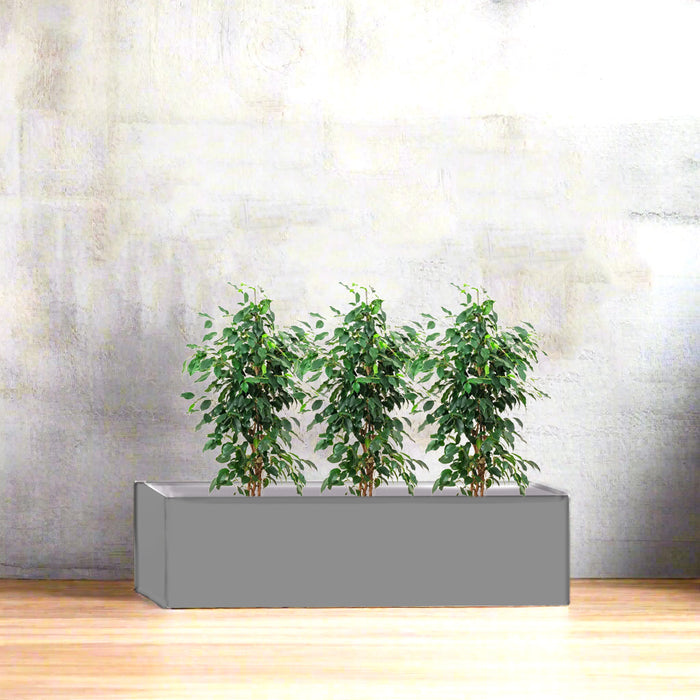 Jatropha Planter