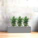 Jatropha Planter
