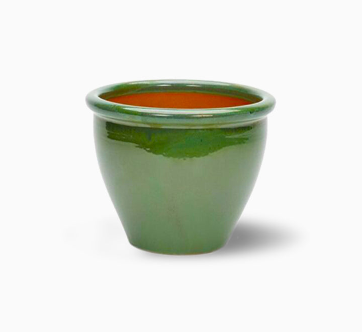 Green-Rolled-Rim-Pot