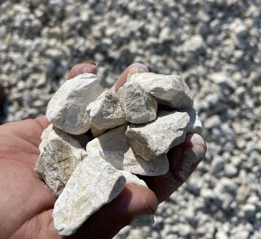 white 2-4cm