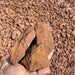 brawn gravel