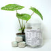 Best Tab "20-10-5" NPK with Essential Micro Nutrients Green Souq