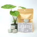 Best Tab "20-10-5" NPK with Essential Micro Nutrients Green Souq