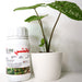 Apache 1.8% EC "Acaricide & Insecticide" Green Souq