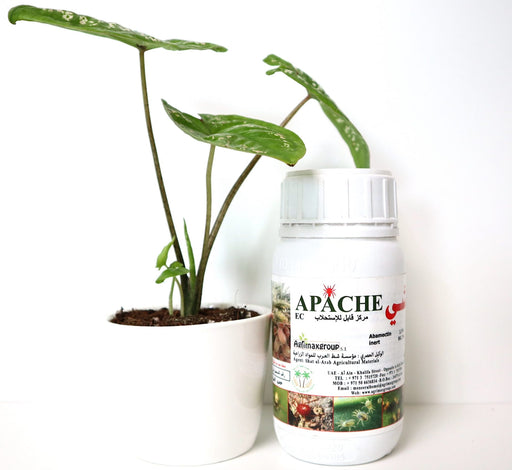 Apache 1.8% EC "Acaricide & Insecticide" Green Souq