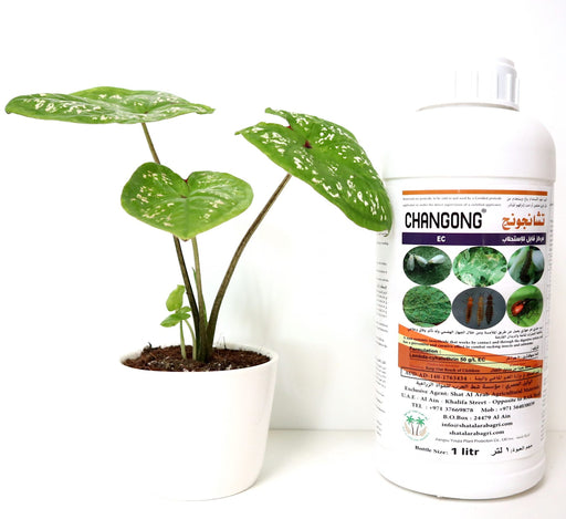 Changong EC "Insecticide" 1Ltr Green Souq
