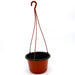 Hanging Plant Pot Greensouq