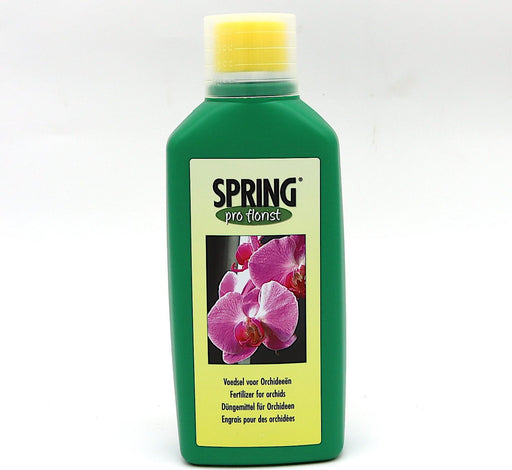 Spring Pro Florist for Orchids Greensouq