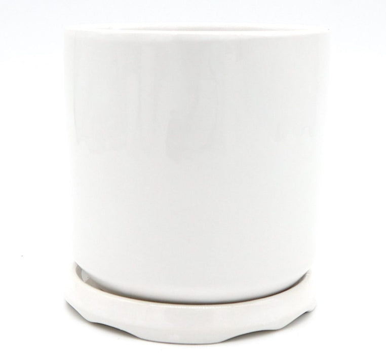 Indoor White Ceramic Pot Greensouq