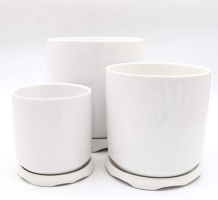 Indoor White Ceramic Pot Greensouq