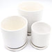Indoor White Ceramic Pot Greensouq