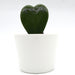 Lucky Heart Greensouq