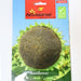 Sunflower Seeds