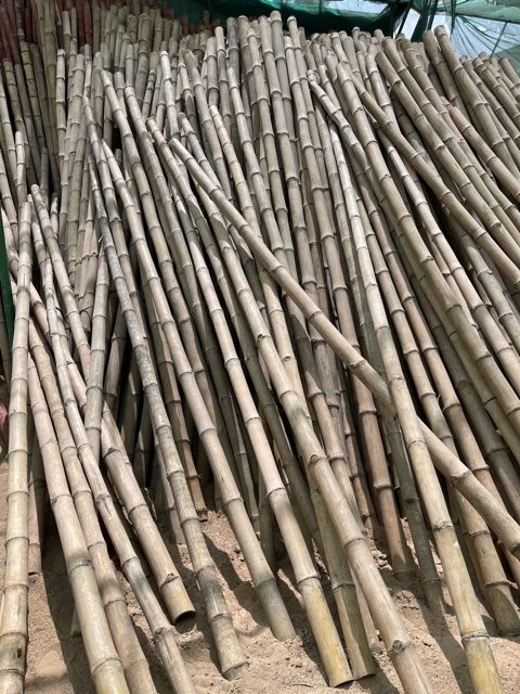 bamboo pole or thick sticks green souq