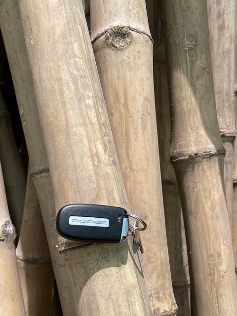 bamboo pole or thick sticks green souq