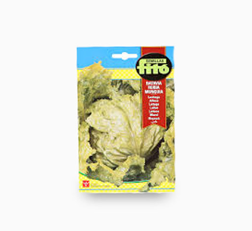 Lettuce Batavia Rubia Munguia 7g – Fito
