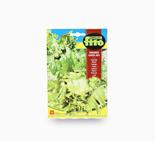 Lettuce Grandes Lagos Juli 6g – Fito