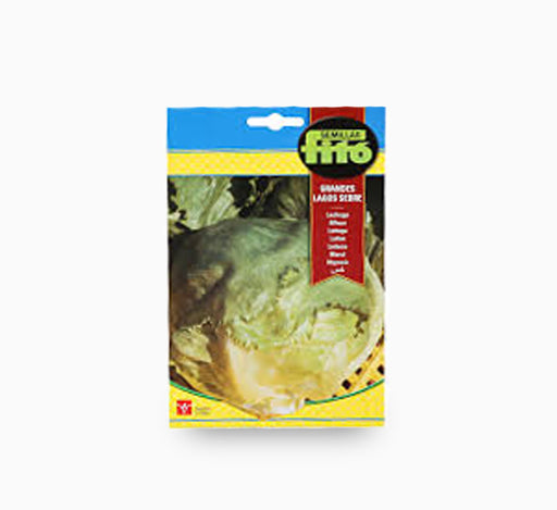 Lettuce Great Lakes Sebre 6g – Fito