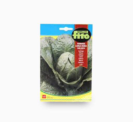 Lettuce Romana Larga Rubia Galacia 8g – Fito