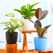 Low-Maintenance-Air-Purifying