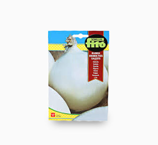 Onion Blanca Grande Pais Calcots 7g – Fito