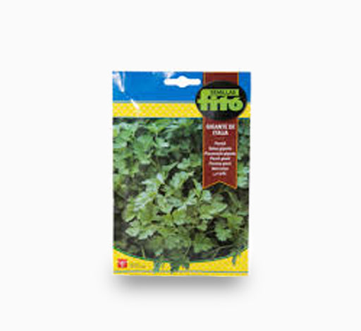 Parsley Gigante Italia Seeds 20g – Fito