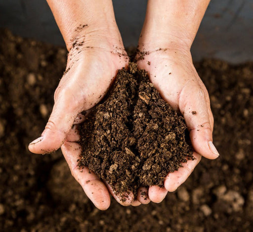 PLANTATORF Peat Moss Greensouq