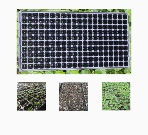 Plastic Seeds Tray