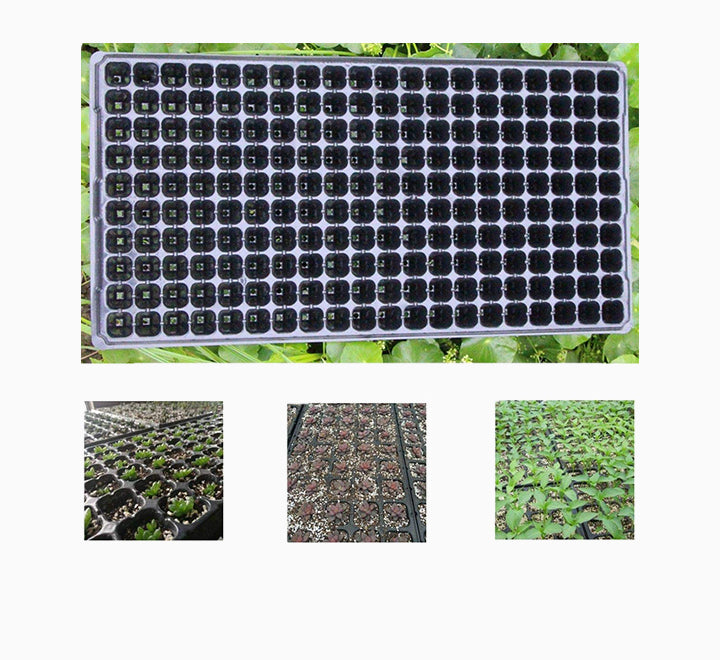 Plastic Seeds Tray