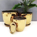 Golden Vase Set