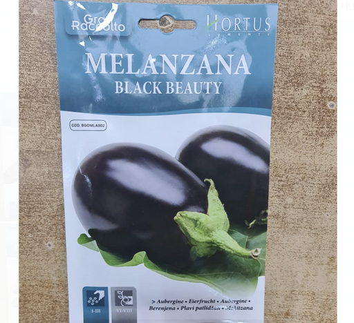 Eggplant Vegetable "Black beauty" Greensouq