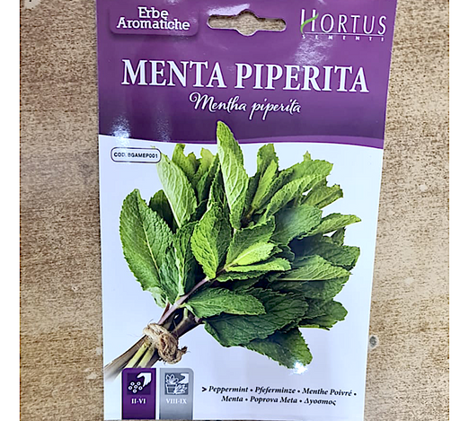 Mint Herb Greensouq