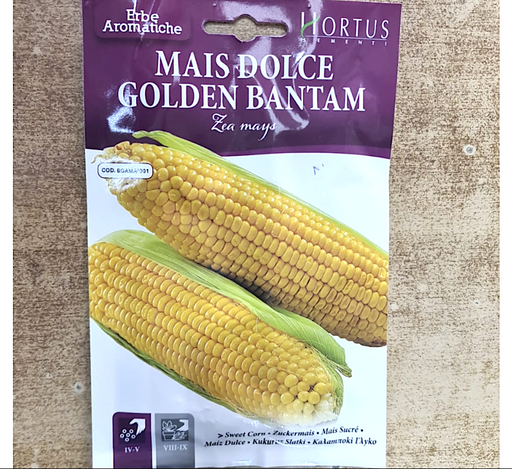 Sweet Corn Greensouq