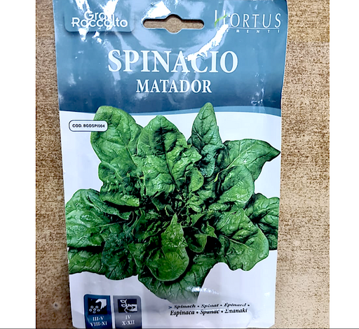 Spinach Vegetable Greensouq