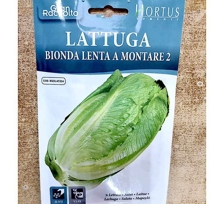 Lettuce Greensouq