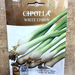 Onion VegetablesSeeds white Greensouq