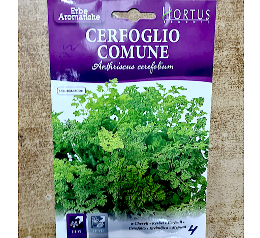 Comune Herb Seeds Greensouq