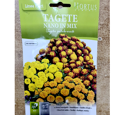 Dwarf Marigold Greensouq