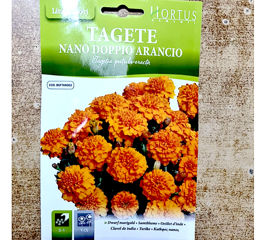 Dwarf Marigold Greensouq