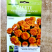 Dwarf Marigold Greensouq