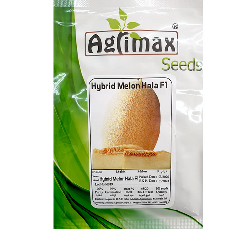 Sweet Melon Fruit Seeds Greensouq